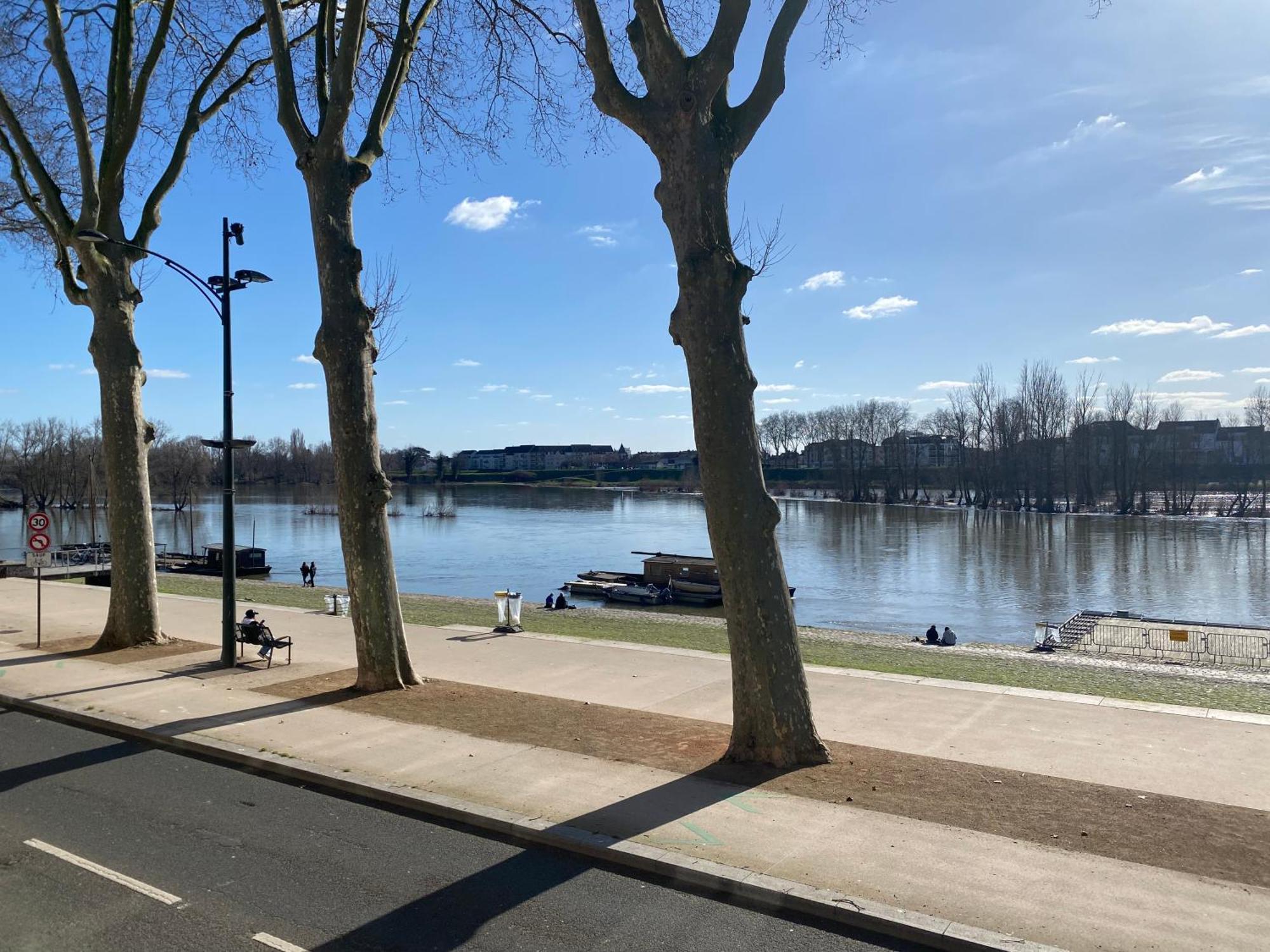 Balcon Vue Loire Parking A 50M Apartment Орлеан Екстериор снимка